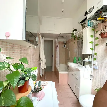 Casa Dei Ciclamini 罗马