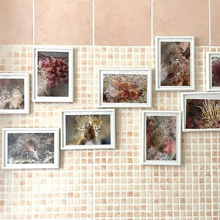 Quarto em Acomodações Particulares Casa Dei Ciclamini *
